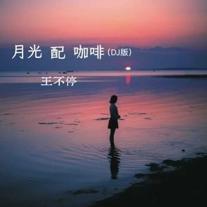 月光配咖啡(DJ版)