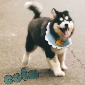 牙牙
