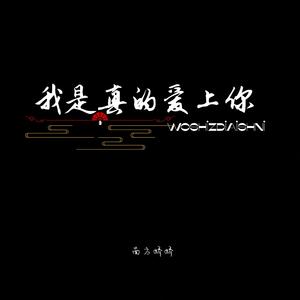 我是真的爱上你 伴奏版