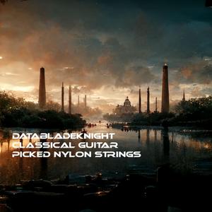 Coste, Napoleon Grand Duo2 (Nylon String Guitars)