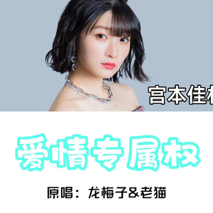 【AI宫本佳林】爱情专属权