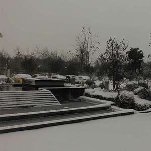 青春啊青春（翻自 周晓鸥）