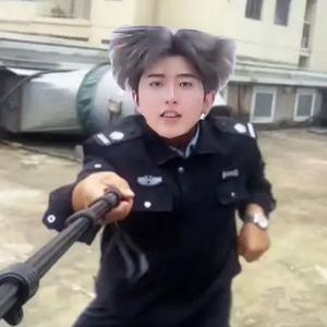 鸡你太美，但是要战斗