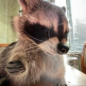 thingsudo2me (slowed)