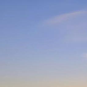 骗了自己多久了