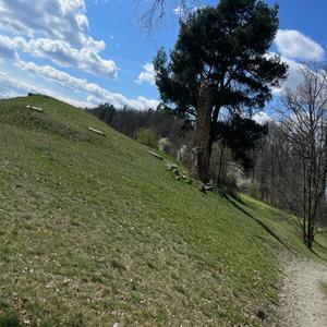 Holy The Valley