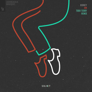 DM (Todd Terry Extended Remix)