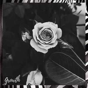 Growth