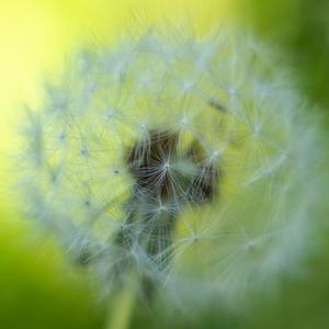 宝宝安抚曲 (哄睡轻音乐)