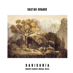 Natty (Roberto Sánchez Original Mix)