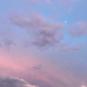 昨夜微雨问海棠（女独）（翻自 陈亦洺）