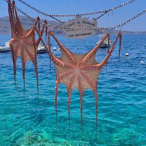 Pulpo