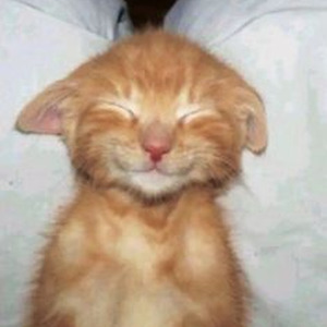 Rain Over Me (slowed)