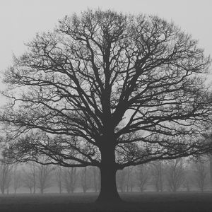 现在是幻想时间(Prod EVOMUSIC )