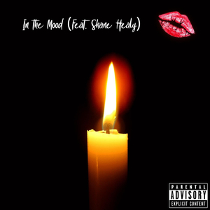 In the Mood (feat. Shane Healy)