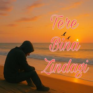 Tera Naam Ab Na Loonga