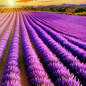 与爱人永结同心