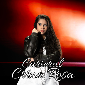 Curierul