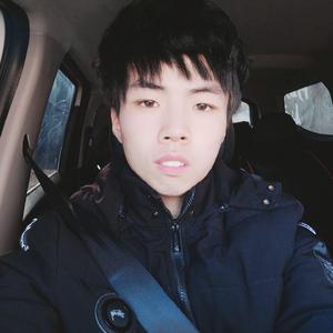 故事未完 (加速版)