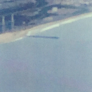 Flow My Tears, the Policeman Said