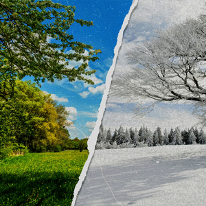 사라져 버린 거야