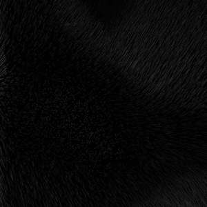 独来独往（翻自 Fat Joe）