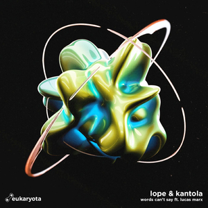 Words Can't Say (feat. Lucas Marx)