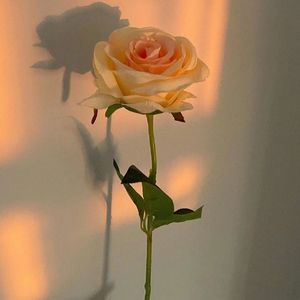 生如夏花之绚烂