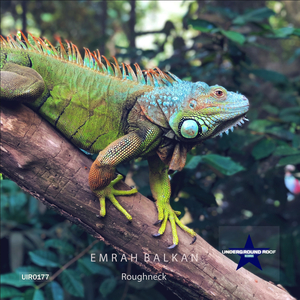 Roughneck (Original Mix)