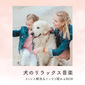 愛猫のためのリラックス