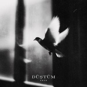 Düştüm