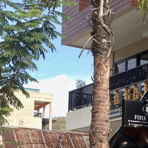 Kabar Riang (Vos Fisya, Marilah Ke Mari)