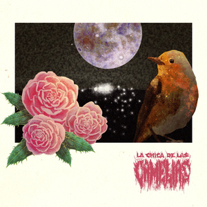 Guy Picciotto Es Mi Papá