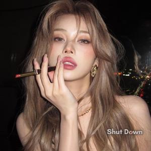 Shut Down (Sped Up Nightcore)