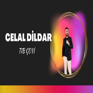 TIB ÇOYİ