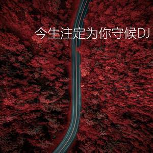 今生无缘(DJ 快版)