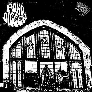 Witches in the Trees (Live)