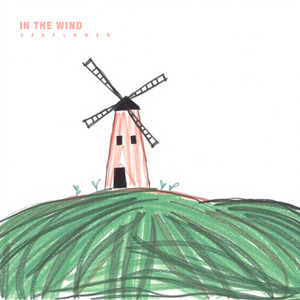 in the wind