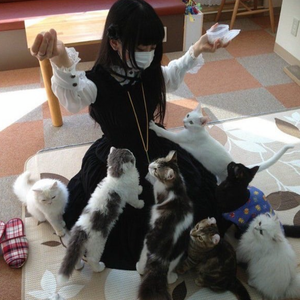 itinerant/dispar ♫•*¨*•.¸¸♪