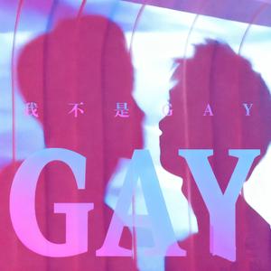 我不是GAY（雷朋）