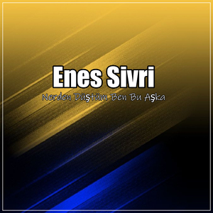 Nerden Düştüm Ben Bu Aşka