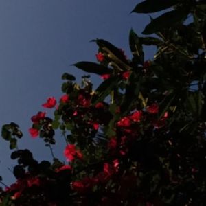 Didnt I(slow0.85remix)