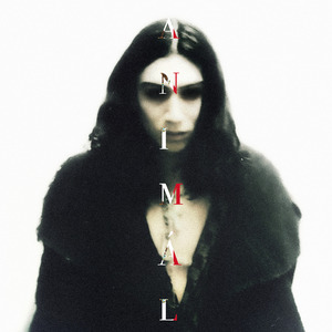 Option (feat. 2hollis)