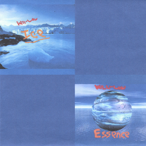 The Wiring Of The Nanobot