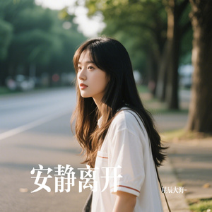 安静离开