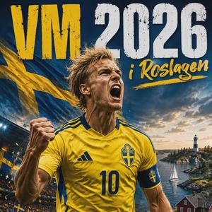 VM i Roslagen