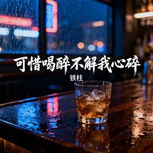 可惜喝醉不解我心碎