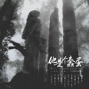 他是个蠢蛋 和声伴奏