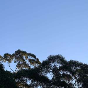 Summertime Talk (Part 2)