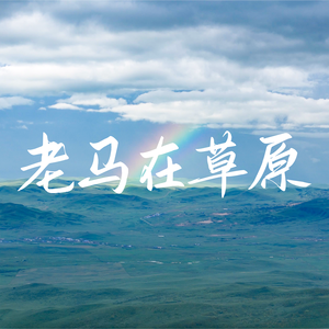 老马在草原